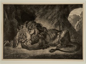 Image description is not available for FIC.067